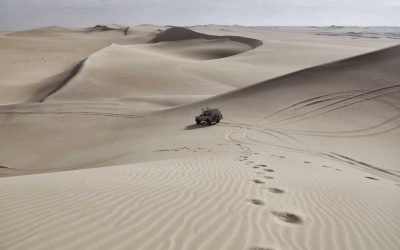 Nulla soluta omnis provident eum quis dolorum