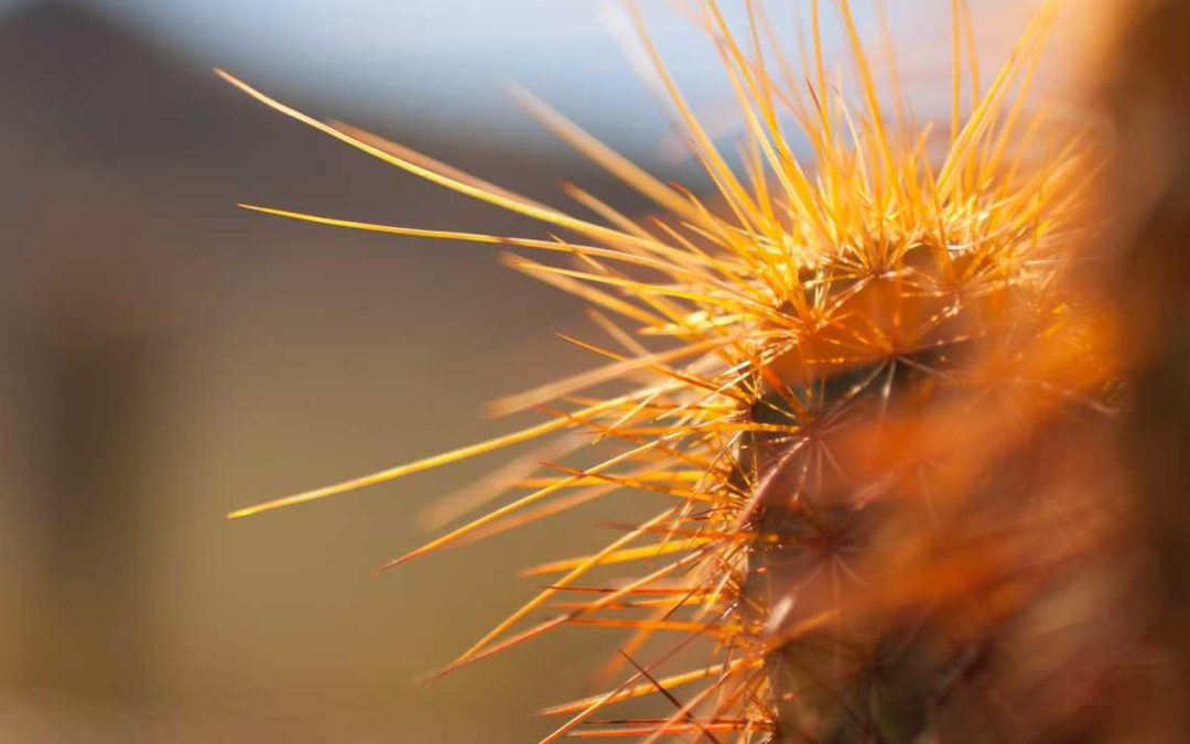 Est modi tempora et ab distinctio