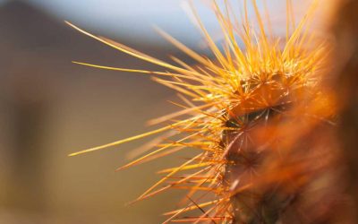 Est modi tempora et ab distinctio